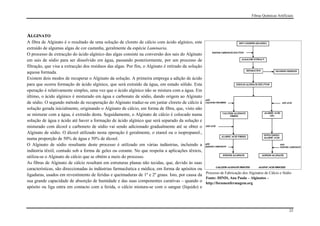 Fibras Químicas Artificiais




ALGINATO
A fibra de Alginato é o resultado de uma solução de cloreto de cálcio com ácido algínico, este
extraído de algumas algas de cor castanha, geralmente da espécie Laminaria.
O processo de extracção do ácido algínico das algas consiste na conversão dos sais do Alginato
em sais de sódio para ser dissolvido em água, passando posteriormente, por um processo de
filtração, que visa a extracção dos resíduos das algas. Por fim, o Alginato é retirado da solução
aquosa formada.
Existem dois modos de recuperar o Alginato da solução. A primeira emprega a adição de ácido
para que ocorra formação de ácido algínico, que será extraído da água, em estado sólido. Esta
operação é relativamente simples, uma vez que o ácido algínico não se mistura com a água. Em
último, o ácido algínico é misturado em água e carbonato de sódio, dando origem ao Alginato
de sódio. O segundo método de recuperação do Alginato traduz-se em juntar cloreto de cálcio à
solução gerada inicialmente, originando o Alginato de cálcio, em forma de fibra, que, visto não
se misturar com a água, é extraído desta. Seguidamente, o Alginato de cálcio é colocado numa
solução de água e ácido até haver a formação de ácido algínico que será separado da solução e
misturado com álcool e carboneto de sódio vai sendo adicionado gradualmente até se obter o
Alginato de sódio. O álcool utilizado nesta operação é geralmente, o etanol ou o isopropanol.,
numa proporção de 50% de água e 50% de álcool.
O Alginato de sódio resultante deste processo é utilizado em várias indústrias, incluindo a
indústria têxtil, contudo sob a forma de geles ou corante. No que respeita a aplicações têxteis,
utiliza-se o Alginato de cálcio que se obtém a meio do processo.
As fibras de Alginato de cálcio resultam em estruturas planas não tecidas, que, devido às suas
características, são direccionadas às indústrias farmacêutica e médica, em forma de apósitos ou
ligaduras, usados em revestimento de feridas e queimaduras de 1º e 2º graus. Isto, por causa da Processo de Fabricação dos Alginatos de Cálcio e Sódio
                                                                                                  Fonte: DINIS, Ana Paula – Alginatos –
sua grande capacidade de absorção de humidade e das suas componentes curativas – quando o http://forumenfermagem.org
apósito ou liga entra em contacto com a ferida, o cálcio mistura-se com o sangue (líquido) e




                                                                                                                                                       23
 