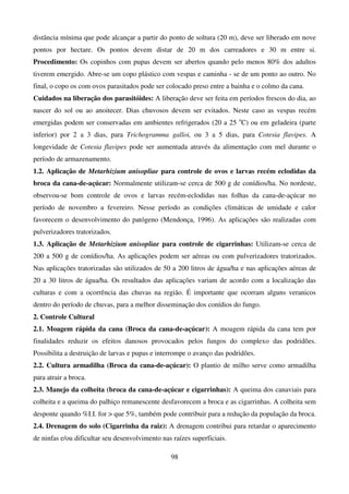 98
distância mínima que pode alcançar a partir do ponto de soltura (20 m), deve ser liberado em nove
pontos por hectare. Os pontos devem distar de 20 m dos carreadores e 30 m entre si.
Procedimento: Os copinhos com pupas devem ser abertos quando pelo menos 80% dos adultos
tiverem emergido. Abre-se um copo plástico com vespas e caminha - se de um ponto ao outro. No
final, o copo os com ovos parasitados pode ser colocado preso entre a bainha e o colmo da cana.
Cuidados na liberação dos parasitóides: A liberação deve ser feita em períodos frescos do dia, ao
nascer do sol ou ao anoitecer. Dias chuvosos devem ser evitados. Neste caso as vespas recém
emergidas podem ser conservadas em ambientes refrigerados (20 a 25 o
C) ou em geladeira (parte
inferior) por 2 a 3 dias, para Trichogramma galloi, ou 3 a 5 dias, para Cotesia flavipes. A
longevidade de Cotesia flavipes pode ser aumentada através da alimentação com mel durante o
período de armazenamento.
1.2. Aplicação de Metarhizium anisopliae para controle de ovos e larvas recém eclodidas da
broca da cana-de-açúcar: Normalmente utilizam-se cerca de 500 g de conídios/ha. No nordeste,
observou-se bom controle de ovos e larvas recém-eclodidas nas folhas da cana-de-açúcar no
período de novembro a fevereiro. Nesse período as condições climáticas de umidade e calor
favorecem o desenvolvimento do patógeno (Mendonça, 1996). As aplicações são realizadas com
pulverizadores tratorizados.
1.3. Aplicação de Metarhizium anisopliae para controle de cigarrinhas: Utilizam-se cerca de
200 a 500 g de conídios/ha. As aplicações podem ser aéreas ou com pulverizadores tratorizados.
Nas aplicações tratorizadas são utilizados de 50 a 200 litros de água/ha e nas aplicações aéreas de
20 a 30 litros de água/ha. Os resultados das aplicações variam de acordo com a localização das
culturas e com a ocorrência das chuvas na região. É importante que ocorram alguns veranicos
dentro do período de chuvas, para a melhor disseminação dos conídios do fungo.
2. Controle Cultural
2.1. Moagem rápida da cana (Broca da cana-de-açúcar): A moagem rápida da cana tem por
finalidades reduzir os efeitos danosos provocados pelos fungos do complexo das podridões.
Possibilita a destruição de larvas e pupas e interrompe o avanço das podridões.
2.2. Cultura armadilha (Broca da cana-de-açúcar): O plantio de milho serve como armadilha
para atrair a broca.
2.3. Manejo da colheita (broca da cana-de-açúcar e cigarrinhas): A queima dos canaviais para
colheita e a queima do palhiço remanescente desfavorecem a broca e as cigarrinhas. A colheita sem
desponte quando %I.I. for  que 5%, também pode contribuir para a redução da população da broca.
2.4. Drenagem do solo (Cigarrinha da raiz): A drenagem contribui para retardar o aparecimento
de ninfas e/ou dificultar seu desenvolvimento nas raízes superficiais.
 
