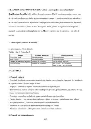 102
5 LAGARTA ELASMO OU BROCA DO COLO - Elasmopalpus lignosellus (Zeller)
(Lepidoptera: Pyralidae): Os adultos são mariposas com 15 a 25 mm de envergadura e com asas
de coloração pardo-avermelhada. As lagartas medem cerca de 15 mm de comprimento, são ativas e
de coloração verde-azulada. Apresentam cabeça pequena e de coloração marrom escura. Jogam-se
no chão se colocadas na palma da mão. As lagartas abrem galerias na região do colo da planta,
causando secamento e morte de plantas novas. Maiores prejuízos nas épocas secas e em solos de
cerrado
2. Amostragem (Tomada de decisão)
a) Amostragem e Níveis de Ação
Talhão: 1 ha. ✓ Pontos/ha: 5
Inseto Unidade Amostral Nível de controle
Cigarrinha verde 5 folíolos/ponto 2 insetos/folíolo
Mosca branca 5 folíolos/ponto 2 insetos/folíolo
Causadordemortalidadedeplantas 1 metro de fileira/ha 5% de plantas atacadas
Desfolhadores 1 metro de fileira/ha até 20 dias - 20% desfolha
após 20 dias - 30% desfolha
3. CONTROLE
1. Controle cultural
- Densidade de plantio: aumento da densidade de plantio, em regiões e/ou épocas de alta incidência
de lagartas elasmo e demais pragas de solo.
- Irrigação - controle de lagartas elasmo em culturas de feijão irrigado.
- Zoneamento de plantio - evitar o cultivo de feijoeiro próximo, principalmente, de culturas de soja,
visando prevenir danos de mosca branca.
- Consórcio com milho - redução do ataque, principalmente, de cigarrinhas.
- Preparo do solo - Uma boa aração e gradagem, expõem os insetos a predadores e raios solares.
- Rotação de culturas - Plantio de plantas que não sejam hospedeiras.
- Variedade de ciclo precoce - Permanecem menos tempo no campo.
- Adubação equilibrada - Adubação correta sem excessos nem carências.
2. Controle por comportamento
 