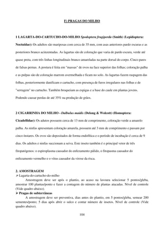104
F) PRAGAS DO MILHO
1 LAGARTA-DO-CARTUCHO-DO-MILHO Spodoptera frugiperda (Smith) (Lepidoptera:
Noctuidae): Os adultos são mariposas com cerca de 35 mm, com asas anteriores pardo escuras e as
posteriores branco acinzentadas. As lagartas são de coloração que varia de pardo escura, verde até
quase preta, com três linhas longitudinais branco amareladas na parte dorsal do corpo. Cinco pares
de falsas pernas. A postura é feita em massas de ovos na face superior das folhas; coloração palha
e as pulpas são de coloração marrom avermelhada e ficam no solo. As lagartas fazem raspagem das
folhas, posteriormente danificam o cartucho, com presença de furos irregulares nas folhas e de
serragem no cartucho. Também broqueiam as espigas e a base do caule em plantas jovens.
Podendo causar perdas de até 35% na produção de grãos.
2 CIGARRINHA DO MILHO - Dalbulus maidis (Delong  Wolcott) (Homoptera:
Cicadellidae): Os adutos possuem cerca de 13 mm de comprimento, coloração verde a amarelo
palha. As ninfas apresentam coloração amarela, possuem até 3 mm de comprimento e passam por
cinco ínstares. Os ovos são depositados de forma endofítica e o período de incubação é cerca de 9
dias. Os adultos e ninfas succionam a seiva. Este inseto também é o principal vetor de três
fitopatógenos: o espiroplasma causador do enfezamento pálido, o fitopasma causador do
enfezamento vermelho e o vírus causador da virose da risca.
2. AMOSTRAGEM
 Lagarta-do-cartucho-do-milho
Amostragem deve ser após o plantio, ao acaso na lavoura selecionar 5 pontos/gleba,
amostrar 100 plantas/ponto e fazer a contagem do número de plantas atacadas. Nível de controle
(Vide quadro abaixo).



 Pragas de subterrâneas
A amostragem deve ser preventiva, dias antes do plantio, em 5 pontos/gleba, semear 200
sementes/ponto; 5 dias após abrir o sulco e contar número de insetos. Nível de controle (Vide
quadro abaixo).
 