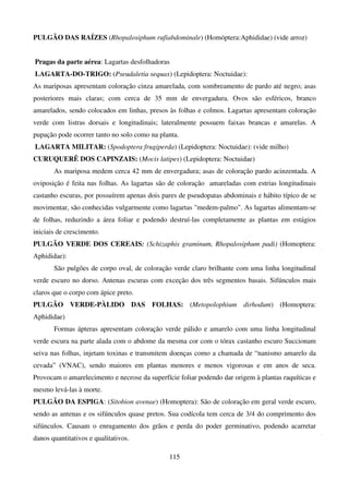 115
PULGÃO DAS RAÍZES (Rhopalosiphum rufiabdominale) (Homóptera:Aphididae) (vide arroz)
Pragas da parte aérea: Lagartas desfolhadoras
LAGARTA-DO-TRIGO: (Pseudaletia sequax) (Lepidoptera: Noctuidae):
As mariposas apresentam coloração cinza amarelada, com sombreamento de pardo até negro; asas
posteriores mais claras; com cerca de 35 mm de envergadura. Ovos são esféricos, branco
amarelados, sendo colocados em linhas, presos às folhas e colmos. Lagartas apresentam coloração
verde com listras dorsais e longitudinais; lateralmente possuem faixas brancas e amarelas. A
pupação pode ocorrer tanto no solo como na planta.
LAGARTA MILITAR: (Spodoptera frugiperda) (Lepidoptera: Noctuidae): (vide milho)
CURUQUERÊ DOS CAPINZAIS: (Mocis latipes) (Lepidoptera: Noctuidae)
As mariposa medem cerca 42 mm de envergadura; asas de coloração pardo acinzentada. A
oviposição é feita nas folhas. As lagartas são de coloração amareladas com estrias longitudinais
castanho escuras, por possuírem apenas dois pares de pseudopatas abdominais e hábito típico de se
movimentar, são conhecidas vulgarmente como lagartas medem-palmo. As lagartas alimentam-se
de folhas, reduzindo a área foliar e podendo destruí-las completamente as plantas em estágios
iniciais de crescimento.
PULGÃO VERDE DOS CEREAIS: (Schizaphis graminum, Rhopalosiphum padi) (Homoptera:
Aphididae):
São pulgões de corpo oval, de coloração verde claro brilhante com uma linha longitudinal
verde escuro no dorso. Antenas escuras com exceção dos três segmentos basais. Sifúnculos mais
claros que o corpo com ápice preto.
PULGÃO VERDE-PÀLIDO DAS FOLHAS: (Metopolophium dirhodum) (Homoptera:
Aphididae)
Formas ápteras apresentam coloração verde pálido e amarelo com uma linha longitudinal
verde escura na parte alada com o abdome da mesma cor com o tórax castanho escuro Succionam
seiva nas folhas, injetam toxinas e transmitem doenças como a chamada de “nanismo amarelo da
cevada” (VNAC), sendo maiores em plantas menores e menos vigorosas e em anos de seca.
Provocam o amarelecimento e necrose da superfície foliar podendo dar origem à plantas raquíticas e
mesmo levá-las à morte.
PULGÃO DA ESPIGA: (Sitobion avenae) (Homoptera): São de coloração em geral verde escuro,
sendo as antenas e os sifúnculos quase pretos. Sua codícola tem cerca de 3/4 do comprimento dos
sifúnculos. Causam o enrugamento dos grãos e perda do poder germinativo, podendo acarretar
danos quantitativos e qualitativos.
 