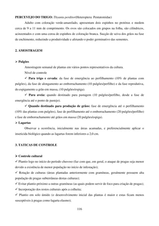 116
PERCEVEJO DO TRIGO: Thyanta perditor(Heteroptera: Pentatomidae)
Adulto com coloração verde-amarelado, apresentam dois espinhos no protórax e medem
cerca de 9 a 11 mm de comprimento. Os ovos são colocados em grupos na folha, são cilíndricos,
acinzentados e com uma coroa de espinhos de coloração branca. Sucção de seiva dos grãos na fase
de enchimento, reduzindo a produtividade e afetando o poder germinativo das sementes.
2. AMOSTRAGEM
 Pulgões
Amostragem semanal de plantas em vários pontos representativos da cultura.
Nível de controle
 Para trigo e cevada: da fase de emergência ao perfilhamento (10% de plantas com
pulgões), da fase de alongamento ao emborrachamento (10 pulgões/perfilho) e da fase reprodutiva,
do espigamento a grão em massa, (10 pulgões/espiga).
 Para aveia: quando destinado para pastagem (10 pulgões/perfilho, desde a fase de
emergência até o ponto de pastejo).
 Quando destinado para produção de grãos: fase de emergência até o perfilhamento
(10% das plantas com pulgões), fase de perfilhamento até o emborrachamento (20 pulgões/perfilho)
e fase de emborrachamento até grãos em massa (20 pulgões/espiga).
 Lagartas
Observar a ocorrência, inicialmente nas áreas acamadas, e preferencialmente aplicar o
inseticida biológico quando as lagartas forem inferiores a 2,0 cm.
3. TATICAS DE CONTROLE



 Controle cultural
 Plantio logo no início do período chuvoso (faz com que, em geral, o ataque de pragas seja menor
devido a existência de menor população no início de infestação);
 Rotação de culturas (áreas plantadas anteriormente com gramíneas, geralmente possuem alta
população de pragas subterrâneas destas culturas);
 Evitar plantio próximo a outras gramíneas (as quais podem servir de foco para criação de pragas);
 Incorporação dos restos culturais após a colheita;
 Plantio em solo úmido (o desenvolvimento inicial das plantas é maior e estas ficam menos
susceptíveis à pragas como lagarta elasmo);
 