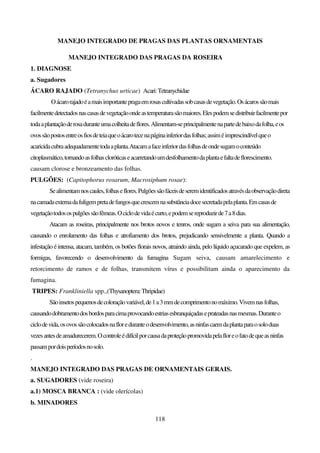 118
MANEJO INTEGRADO DE PRAGAS DAS PLANTAS ORNAMENTAIS
MANEJO INTEGRADO DAS PRAGAS DA ROSEIRA
1. DIAGNOSE
a. Sugadores
ÁCARO RAJADO (Tetranychus urticae) Acari:Tetranychidae
Oácarorajadoéamaisimportantepragaemrosascultivadassobcasasdevegetação.Osácarossãomais
facilmentedetectadosnascasasdevegetaçãoondeastemperaturasãomaiores.Elespodemsedistribuirfacilmentepor
todaaplantaçãoderosaduranteumacolheitadeflores.Alimentam-seprincipalmentenapartedebaixodafolha,eos
ovossãopostosentreosfiosdeteiaqueoácarotecenapáginainferiordasfolhas;assiméimprescindívelqueo
acaricidacubraadequadamentetodaaplanta.Atacamafaceinferiordasfolhasdeondesugamoconteúdo
citoplasmático,tornandoasfolhascloróticaseacarretandoumdesfolhamentodaplantaefaltadeflorescimento.
causam clorose e bronzeamento das folhas.
PULGÕES: (Capitophorus rosarum, Macrosiphum rosae):
Sealimentamnoscaules,folhaseflores.Pulgõessãofáceisdeseremidentificadosatravésdaobservaçãodireta
nacamadaexternadafuligempretadefungosquecrescemnasubstânciadocesecretadapelaplanta.Emcasasde
vegetaçãotodosospulgõessãofêmeas.Ociclodevidaécurto,epodemsereproduzirde7a8dias.
Atacam as roseiras, principalmente nos brotos novos e tenros, onde sugam a seiva para sua alimentação,
causando o enrolamento das folhas e atrofiamento dos brotos, prejudicando sensivelmente a planta. Quando a
infestação é intensa, atacam, também, os botões florais novos, atraindo ainda, pelo líquido açucarado que expelem, as
formigas, favorecendo o desenvolvimento da fumagina Sugam seiva, causam amarelecimento e
retorcimento de ramos e de folhas, transmitem vírus e possibilitam ainda o aparecimento da
fumagina.
TRIPES: Frankliniella spp.,(Thysanoptera:Thripidae)
Sãoinsetospequenosdecoloraçãovariável,de1a3mmdecomprimentonomáximo.Vivemnasfolhas,
causandodobramentodosbordosparacimaprovocandoestriasesbranquiçadaseprateadasnasmesmas.Duranteo
ciclodevida,osovossãocolocadosnafloreduranteodesenvolvimento,asninfascaemdaplantaparaosoloduas
vezesantesdeamadurecerem.Ocontroleédifícilporcausadaproteçãopromovidapelafloreofatodequeasninfas
passampordoisperíodosnosolo.
.
MANEJO INTEGRADO DAS PRAGAS DE ORNAMENTAIS GERAIS.
a. SUGADORES (vide roseira)
a.1) MOSCA BRANCA : (vide olerícolas)
b. MINADORES
 