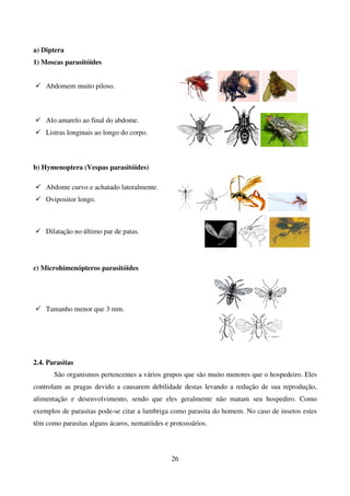 26
a) Diptera
1) Moscas parasitóides
 Abdomem muito piloso.
 Alo amarelo ao final do abdome.
 Listras longinais ao longo do corpo.
b) Hymenoptera (Vespas parasitóides)
 Abdome curvo e achatado lateralmente.
 Ovipositor longo.
 Dilatação no último par de patas.
c) Microhimenópteros parasitóides
 Tamanho menor que 3 mm.
2.4. Parasitas
São organismos pertencentes a vários grupos que são muito menores que o hospedeiro. Eles
controlam as pragas devido a causarem debilidade destas levando a redução de sua reprodução,
alimentação e desenvolvimento, sendo que eles geralmente não matam seu hospediro. Como
exemplos de parasitas pode-se citar a lumbriga como parasita do homem. No caso de insetos estes
têm como parasitas alguns ácaros, nematóides e protozoários.
 
