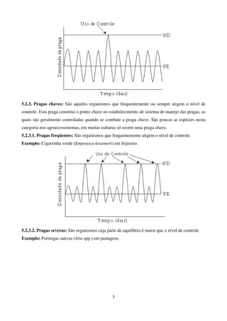 3
5.2.3. Pragas chaves: São aqueles organismos que frequentemente ou sempre atigem o nível de
controle. Esta praga constitui o ponto chave no estabelecimento de sistema de manejo das pragas, as
quais são geralmente controladas quando se combate a praga chave. São poucas as espécies nesta
categoria nos agroecossistemas, em muitas culturas só ocorre uma praga chave.
5.2.3.1. Pragas freqüentes: São organismos que frequentemente atigem o nível de controle.
Exemplo: Cigarrinha verde (Empoasca kraemeri) em feijoeiro.
5.2.3.2. Pragas severas: São organismos cuja parte de equilíbrio é maior que o nível de controle.
Exemplo: Formigas saúvas (Atta spp.) em pastagens.
 