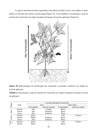 48
A seguir é mostrada de forma esquemática uma planta de feijão com os seus órgãos os quais
podem ser atacados por insetos e ácaros-praga (Figura 16). Como também a concentração e ação de
controle dos inseticidas nos órgãos da planta em função do local de aplicação (Tabela 6).
Figura 18. Representação da translocação dos inseticidas e acaricidas sistêmicos em função do
local de aplicação.
Tabela 6. Concentração e ação de controle dos inseticidas nos órgãos da planta em função do local
de aplicação.
Local de aplicação do inseticida
Solo Parte Aérea
Órgão
Parte
Concentação Ação de controle Concentação Ação de controle
Externa Alta Contato Baixa -
Interna Alta Sistêmica Baixa -
Raiz
Vazos Alta Sistêmica Baixa -
Externa Baixa - Alta Contato
Interna Média Sistêmica Baixa -
Coleto
Vazos Alta Sistêmica Baixa -
Externa Baixa - Alta Contato
Caul
e
Interna Baixa - Baixa -
 