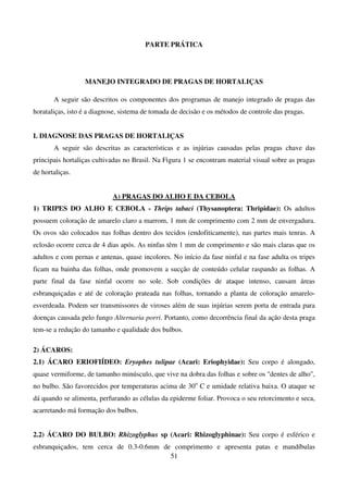 51
PARTE PRÁTICA
MANEJO INTEGRADO DE PRAGAS DE HORTALIÇAS
A seguir são descritos os componentes dos programas de manejo integrado de pragas das
horataliças, isto é a diagnose, sistema de tomada de decisão e os métodos de controle das pragas.
I. DIAGNOSE DAS PRAGAS DE HORTALIÇAS
A seguir são descritas as características e as injúrias causadas pelas pragas chave das
principais hortaliças cultivadas no Brasil. Na Figura 1 se encontram material visual sobre as pragas
de hortaliças.
A) PRAGAS DO ALHO E DA CEBOLA
1) TRIPES DO ALHO E CEBOLA - Thrips tabaci (Thysanoptera: Thripidae): Os adultos
possuem coloração de amarelo claro a marrom, 1 mm de comprimento com 2 mm de envergadura.
Os ovos são colocados nas folhas dentro dos tecidos (endofiticamente), nas partes mais tenras. A
eclosão ocorre cerca de 4 dias após. As ninfas têm 1 mm de comprimento e são mais claras que os
adultos e com pernas e antenas, quase incolores. No início da fase ninfal e na fase adulta os tripes
ficam na bainha das folhas, onde promovem a sucção de conteúdo celular raspando as folhas. A
parte final da fase ninfal ocorre no sole. Sob condições de ataque intenso, causam áreas
esbranquiçadas e até de coloração prateada nas folhas, tornando a planta de coloração amarelo-
esverdeada. Podem ser transmissores de viroses além de suas injúrias serem porta de entrada para
doenças causada pelo fungo Alternaria porri. Portanto, como decorrência final da ação desta praga
tem-se a redução do tamanho e qualidade dos bulbos.
2) ÁCAROS:
2.1) ÁCARO ERIOFIÍDEO: Eryophes tulipae (Acari: Eriophyidae): Seu corpo é alongado,
quase vermiforme, de tamanho minúsculo, que vive na dobra das folhas e sobre os dentes de alho,
no bulbo. São favorecidos por temperaturas acima de 30o
C e umidade relativa baixa. O ataque se
dá quando se alimenta, perfurando as células da epiderme foliar. Provoca o seu retorcimento e seca,
acarretando má formação dos bulbos.
2.2) ÁCARO DO BULBO: Rhizoglyphus sp (Acari: Rhizoglyphinae): Seu corpo é esférico e
esbranquiçados, tem cerca de 0.3-0.6mm de comprimento e apresenta patas e mandíbulas
 