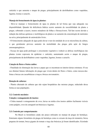 60
cutícula) o que aumenta o ataque de pragas, principalmente de desfolhadores como vaquinhas,
lagartas, lesmas e caracóis.
Manejo do fornecimento de água às plantas:
- Deve-se manejar o fornecimento de água às plantas de tal forma que seja adequada sua
disponibilidade. Quando há deficiência hídrica ocorre aumento da suscetibilidade da planta a
pragas, sobretudo a ácaros, insetos minadores de folhas e fitosuccívoros. Tal fato ocorre devido a
redução das defesas químicas e morfológicas da planta e ao aumento da concentração de nutrientes
na seiva, principalmente de aminoácidos livres.
- O fornecimento adequado de água pode elevar o teor de umidade do ar no microclima da cultura,
o que geralmente provoca aumento da mortalidade das pragas pela ação de fungos
entomopatogênicos.
- Exceço de água pode prolongar o crescimento vegetativo e reduzir as defesas morfológicas das
plantas (como espessura da epiderme e cutícula), aumentando assim o ataque de pragas,
principalmente de desfolhadores como vaquinhas, lagartas, lesmas e caracóis.
Catação de flores e frutos caídos:
- Finalidade de eliminação das larvas e pupas que se encontram no interior destas estruturas. O seu
uso diminui futuras infestações de pragas que vivem dentro de flores e frutos, como moscas-das-
frutas e brocas em cucurbitáceas e traças e brocas em tomateiro.
Rotação de culturas:
- Plantio alternado de culturas que não sejam hospedeiras das mesmas pragas, reduzindo dessa
forma as suas populações.
3.2. Controle mecânico
Catação e esmagamento de insetos:
- Coleta manual e esmagamento de ovos, larvas ou ninfas e/ou insetos adultos facilmente visíveis
como pulgões, ovos de curuquerê em brássicas e lagartas.
3.3. Controle por comportamento
No Brasil os feromônios ainda são pouco utilizados no manejo de pragas de hortaliças.
Entretanto alguns feromônios de pragas de hortaliças como os sexuais da traça do tomateiro, broca
pequena do tomate, broca gigante do tomate e traça das brássicas já foram identificados. Existindo
 