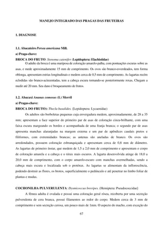 67
MANEJO INTEGRADO DAS PRAGAS DAS FRUTEIRAS
1. DIAGNOSE
1.1. Abacateiro Persea americana Mill.
a) Praga-chave:
BROCA DO FRUTO: Stenoma catenifer (Lepidoptera: Elachistidae)
O adulto da broca é uma mariposa de coloração amarelo-palha, com pontuações escuras sobre as
asas, e mede aproximadamente 15 mm de comprimento. Os ovos são branco-esverdeados, tem forma
oblonga, apresentam estrias longitudinais e medem cerca de 0,5 mm de comprimento. As lagartas recém
eclodidas são branco-acinzentadas, tem a cabeça escura tornando-se posteriormente roxas, Chegam a
medir até 20 mm. Seu dano é broqueamento de frutos.
1.2. Abacaxi Ananas comosus (L) Merril
a) Pragas-chave:
BROCA DO FRUTO): Thecla basalides. (Lepidoptera: Lycaenidae)
Os adultos são borboletas pequenas cuja envergadura medem, aproximadamente, de 28 a 35
mm; apresentam a face superior do primeiro par de asas de coloração cinza-brilhante, com uma
faixa escura margeando os bordos e acompanhada de uma franja branca; o segundo par de asas
apresenta manchas alaranjadas na margem externa e um par de apêndices caudais pretos e
filiformes, com extremidades brancas; as antenas são aneladas de branco. Os ovos são
arredondados, possuem coloração esbranquiçada e apresentam cerca de 0,8 mm de diâmetro.
As lagartas de primeiro ínstar, que medem de 1,5 a 2,0 mm de comprimento e apresentam o corpo
de coloração amarela e a cabeça e o tórax mais escuros. A lagarta desenvolvida atinge de 18,0 a
20,0 mm de comprimento, com o corpo amarelo-escuro com manchas avermelhadas, sendo a
cabeça mais escura e localizada sob o protórax. As lagartas se alimentam da inflorescência,
podendo destruir as flores, os brotos, superficialmente o pedúnculo e até penetrar no limbo foliar de
plantas e mudas.
COCHONILHA PULVERULENTA: Dysmicoccus brevipes. (Hemiptera: Pseudococcidae)
A fêmea adulta é ovalada e possui uma coloração geral rósea, recoberta por uma secreção
pulverulenta de cera branca, possui filamentos ao redor do corpo. Medem cerca de 3 mm de
comprimento e sem secreção cerosa, um pouco mais de 1mm. O aspecto do macho, com exceção do
 