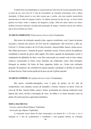 69
O adulto deste microlepidoptero é caracterizado por uma faixa de escamas prateadas da base
ao meio da asa, com cerca de 17 mm de envergadura, de coloração acinzentada, com a cabeça
alaranjada. A fêmea possui as asas mais escuras que o macho, com uma mancha característica
marrom-clara ao redor da margem exterior. As injúrias decorem do fato de que as larvas fazem
galerias nos frutos verdes e maduros até atingirem a polpa. Além dos danos diretos nos frutos,
também favorecem infecções causadas pela penetração de fungos e bactérias através dos orifícios
que as larvas efetuam nos frutos.
ÁCARO DA FERRUGEM: Phyllocoptruta oleivora (Acari: Eriophyidae)
São ácaros de coloração amarelo claro, aspecto vermiforme, com 2 pares de pernas
(exceção a maioria dos ácaros), de 0,15 mm de comprimento. São invisíveis a olho nu.
Ciclo de 7 a 10 dias (verão) e de 14-15 dias (inverno). Atacam folhas, hastes e frutos novos.
Nas folhas provocam a mancha de graxa (manchas escuras visíveis através da epiderme,
semelhante à mancha de graxa sobre papel). Nos frutos, quando da alimentação, ocorre o
rompimento de glândulas de óleo e este óleo extravasado em contato com os raios solares
oxida-se, escurecendo os frutos (estes sintomas são conhecidos como: falsa ferrugem,
ferrugem ou mulata). Os frutos de lima, tangerina, limão, etc., ficam com coloração
prateada. Os prejuízos são consideráveis apenas quando a produção se destina ao mercado
de frutas frescas. Pode ocorrer perda de de peso em até 4 g/fruto atacado.
ÁCARO DA LEPROSE: Brevipalpus phoenicis (Acari: Tenuipalpidae)
São ácaros vermelho-alaranjados, com 4 pares de pernas, de 0,3 mm de
comprimento, com manchas escuras de tamanhos e formas variáveis no dorso. Ciclo de
cerca de 18 dias. Atacam folhas, ramos e frutos, acarretando um sintoma conhecido como
leprose dos citros, devido à inoculação de vírus. As folhas e os frutos atacados caem da
planta. Os ramos passam a apresentar rachaduras
MOSCA DAS FRUTAS
- Ceratitis capitata (Wied) (Diptera: Tephritidae)
- Anastrepha spp. (Diptera: Tephritidae)
A oviposição ocorre dentro do fruto (mesocarpo), em número de 1 a 10 ovos; o ovo é
alongado (± 1 mm de comprimento) e semelhante a uma pequena banana, de coloração
 