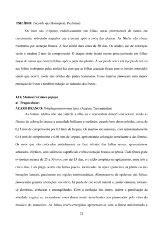 72
PSILÍDIO: Trizoida sp. (Homoptera: Psyllidae)
Os ovos são ovipostos endofiticamente em folhas novas provenientes de ramos em
crescimento, sobretudo naqueles que crescem após a poda das plantas. As Ninfas são róseas
recobertas por secreção branca. A fase ninfal dura cerca de 30 dias. Os adultos são de coloração
verde e medem 2 mm de comprimento. O ataque deste inseto ocorre principalmente em folhas
novas de ramos que emitem folhas após a poda das plantas. A sucção de seiva em injeção de toxina
nas folhas (sobretudo pelas ninfas) faz com que as folhas atacadas ficam com os bordos retorcidos
sendo que ocorre morte das células das partes lesionadas. Essas injúrias provocam uma menor
produção de frutos e também redução do tamanho dos frutos..
1.19. Mamoeiro Carica papaya
a) Pragas-chave:
ÁCARO BRANCO: Polyphagotarsonemus latus. (Acarina: Tarsonemidae)
As formas adultas não são visíveis a olho nu e apresentam dimorfismo sexual, sendo as
fêmeas de coloração branca a amarelada brilhante e medindo, quando bem desenvolvidas, cerca de
0,15 mm de comprimento por 0,11mm de largura. Os machos são menores, com aproximadamente
0,14 mm de comprimento e 0,08 mm de largura, apresentando coloração semelhante à das fêmeas.
Os ovos que são colocados isoladamente na face inferior das folhas novas, apresentam-se
achatados, elípticos, com saliências superficiais e têm coloração branca ou pérola. Cada fêmea pode
ovipositar mcerca de 25 a 30 ovos, por até 15 dias, e o ciclo completa-se rapidamente, entre três a
cinco dias. Esta praga ocorre em folhas jovens, localizadas no ápice (ponteiro) da planta ou nas
brotações laterais, geralmente em regiões meristemáticas. Alimentam-se da epiderme das folhas,
provocando grandes alterações: no início, há perda de cor verde natural e, posteriormente, tornam-
se cloróticas, coriáceas e encarquilhadas. Com a evolução dos danos, ocorre a paralisação da
atividade vegetativa, tornando-se esses danos muito semelhantes aos provocados pelo vírus do
mosaico do mamoeiro. As folhas recém-emergidas apresentam-se com o limbo mal-formado e
 