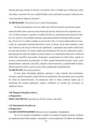 73
reduzido quase que somente às nervuras, com pecíolo curto e, à medida que as folhas mais velhas
vão caindo, o mamoeiro fica sem o capitel de folhas, motivo pelo qual essa praga é conhecida como
“ácaro da queda do chapéu do mamoeiro”.
ÁCARO RAJADO: Tetranychus urticae. (Acari: Tetranichydae)
Os ácaros tetraniquídeos vivem nas folhas mais velhas do mamoeiro, geralmente na parte
inferior do limbo, entre as nervuras mais próximas do pecíolo, onde tecem teias e depositam seus
ovos. As fêmeas chegam a ovipositar, em média, 50 a 60 ovos, num período aproximado de 10 dias.
Os ovos, esféricos e de tonalidade amarelada, apresentam período de incubação médio de quatro
dias. O ciclo, de ovo a adulto, completa-se em cerca de 13 dias. As formas adultas podem ser vistas
a olho nu e apresentam acentuado dimorfismo sexual. As fêmeas são de maior tamanho e corpo
mais volumoso, com cerca de 0,46 mm de comprimento, e apresentam uma mancha verde-escura
em cada lado do dorso. Os machos medem aproximadamente 0,25 mm de comprimento, tendo a
parte posterior do corpo mais afilada. As formas adultas, ao se alimentarem, dilaceram as células do
tecido foliar (mesófilo), provocando, inicialmente, amarelecimento do limbo foliar, seguido de
necrose e, posteriormente, de perfurações. As folhas, quando intensamente atacadas, secam e caem
prematuramente, reduzindo a área foliar, afetando o desenvolvimento e a produtividade da planta,
além de exporem os frutos à ação dos raios solares, prejudicando a qualidade deles.
ÁCARO PLANO: Brevipalpus phoenicis.
O ácaro plano Brevipalpus phoenicis apresenta o corpo achatado dorsoventralmente,
coloração vermelho-alaranjada e mede 0,25mm de comprimento. São encontrados junto ao pecíolo
dos frutos em desenvolvimento. Ao alimentar-se sobre os frutos, conferem injúrias que se
manifestam por manchas pardacentas, ásperas, semelhantes às causadas por escoriações na
superfície da casca.
1.20. Mangueira Mangifera indica L.
a) Pragas-chave:
MOSCA DAS FRUTAS: Anastrepha sp., Ceratitis capitata. (vide citrus)
1.21. Maracujazeiro Passiflora sp.
a) Pragas-chave:
LAGARTAS DESFOLHADORAS: Dione juno juno, (Lepidoptera: Nymphalidae)
Os ovos são amarelos avermelhados e reunidos em conjuntos.As lagartas são pretas, recobertas
por espinhos,possuem hábito gregário e alcançando 3 cm de comprimento. Os adultos são borboletas
 
