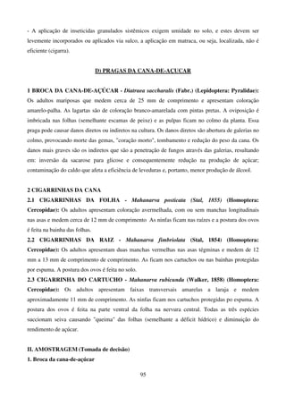 95
- A aplicação de inseticidas granulados sistêmicos exigem umidade no solo, e estes devem ser
levemente incorporados ou aplicados via sulco, a aplicação em matraca, ou seja, localizada, não é
eficiente (cigarra).
D) PRAGAS DA CANA-DE-AÇUCAR
1 BROCA DA CANA-DE-AÇÚCAR - Diatraea saccharalis (Fabr.) (Lepidoptera: Pyralidae):
Os adultos mariposas que medem cerca de 25 mm de comprimento e apresentam coloração
amarelo-palha. As lagartas são de coloração branco-amarelada com pintas pretas. A oviposição é
imbricada nas folhas (semelhante escamas de peixe) e as pulpas ficam no colmo da planta. Essa
praga pode causar danos diretos ou indiretos na cultura. Os danos diretos são abertura de galerias no
colmo, provocando morte das gemas, coração morto, tombamento e redução do peso da cana. Os
danos mais graves são os indiretos que são a penetração de fungos através das galerias, resultando
em: inversão da sacarose para glicose e consequentemente redução na produção de açúcar;
contaminação do caldo que afeta a eficiência de leveduras e, portanto, menor produção de álcool.
2 CIGARRINHAS DA CANA
2.1 CIGARRINHAS DA FOLHA - Mahanarva posticata (Stal, 1855) (Homoptera:
Cercopidae): Os adultos apresentam coloração avermelhada, com ou sem manchas longitudinais
nas asas e medem cerca de 12 mm de comprimento As ninfas ficam nas raízes e a postura dos ovos
é feita na bainha das folhas.
2.2 CIGARRINHAS DA RAIZ - Mahanarva fimbriolata (Stal, 1854) (Homoptera:
Cercopidae): Os adultos apresentam duas manchas vermelhas nas asas tégminas e medem de 12
mm a 13 mm de comprimento de comprimento. As ficam nos cartuchos ou nas bainhas protegidas
por espuma. A postura dos ovos é feita no solo.
2.3 CIGARRINHA DO CARTUCHO - Mahanarva rubicunda (Walker, 1858) (Homoptera:
Cercopidae): Os adultos apresentam faixas transversais amarelas a laraja e medem
aproximadamente 11 mm de comprimento. As ninfas ficam nos cartuchos protegidas po espuma. A
postura dos ovos é feita na parte ventral da folha na nervura central. Todas as três espécies
succionam seiva causando queima das folhas (semelhante a déficit hídrico) e diminuição do
rendimento de açúcar.
II. AMOSTRAGEM (Tomada de decisão)
1. Broca da cana-de-açúcar
 