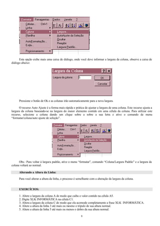 Esta opção exibe mais uma caixa de diálogo, onde você deve informar a largura da coluna, observe a caixa de
diálogo abaixo:




      Pressione o botão de Ok e as colunas irão automaticamente para a nova largura.

      O recurso Auto Ajuste é a forma mais rápida e prática de ajustar a largura de uma coluna. Este recurso ajusta a
largura da coluna baseando-se na largura do maior elemento contido em uma célula da coluna. Para utilizar este
recurso, selecione a coluna dando um clique sobre a sobre a sua letra e ative o comando de menu
“formatar/coluna/auto ajuste de seleção”.




      Obs.: Para voltar à largura padrão, ative o menu “formatar”, comando “Coluna/Largura Padrão” e a largura da
coluna voltará ao normal.

      Alterando a Altura da Linha:

      Para você alterar a altura da linha, o processo é semelhante com a alteração da largura da coluna.


      EXERCÍCIOS:

      1. Altere a largura da coluna A de modo que caiba o valor contido na célula A5.
      2. Digite XLK INFORMÁTICA na célula C1.
      3. Altera a largura da coluna C de modo que ela acomode completamente a frase XLK INFORMÁTICA.
      4. Altere a altura da linha 3 até mais ou mesmo o tripulo de sua altura normal.
      5. Altere a altura da linha 5 até mais ou menos o dobro da sua altura normal.

                                                           8
 