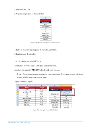 136 MS EXCEL 2010 – NÍVEL AVANÇADO
5. Pressione ENTER.
6. Copie a função para as demais linhas.
Figura 214 - Função copiada para as demais células.
7. Salve as modificações na pasta de trabalho Amostras.
8. Feche a pasta de trabalho.
14.1.2 – Função MINÚSCULA
Essa função converte todo o texto para letras minúsculas.
A sintaxe é a seguinte =MINÚSCULA(texto), onde em que:
• Texto – É o texto que se deseja converter para maiúsculas. Texto pode ser uma referência
ou uma sequência de caracteres de texto.
Veja o exemplo a seguir:
Figura 215 – Exemplo Função MINÚSCULA.
 