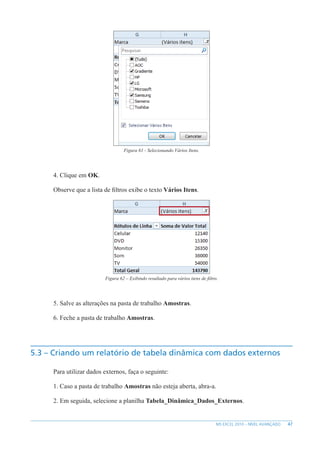47
MS EXCEL 2010 – NÍVEL AVANÇADO
Figura 61 - Selecionando Vários Itens.
4. Clique em OK.
Observe que a lista de filtros exibe o texto Vários Itens.
Figura 62 – Exibindo resultado para vários itens de filtro.
5. Salve as alterações na pasta de trabalho Amostras.
6. Feche a pasta de trabalho Amostras.
5.3 – Criando um relatório de tabela dinâmica com dados externos
Para utilizar dados externos, faça o seguinte:
1. Caso a pasta de trabalho Amostras não esteja aberta, abra-a.
2. Em seguida, selecione a planilha Tabela_Dinâmica_Dados_Externos.
 