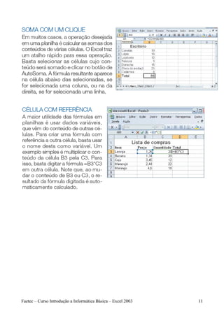 Faetec – Curso Introdução a Informática Básica – Excel 2003   11
 