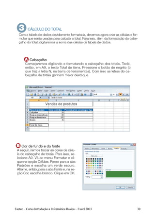 Faetec – Curso Introdução a Informática Básica – Excel 2003   30
 