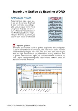 Inserir um Gráfico do Excel no WORD




Faetec – Curso Introdução a Informática Básica – Excel 2003   39
 