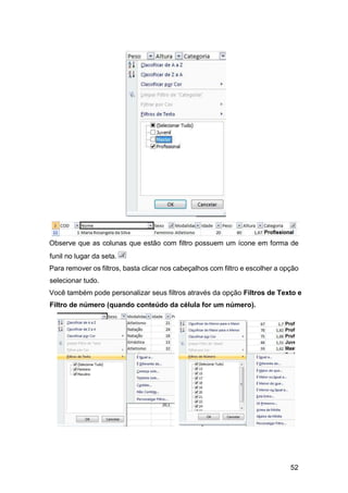 52
Observe que as colunas que estão com filtro possuem um ícone em forma de
funil no lugar da seta.
Para remover os filtros, basta clicar nos cabeçalhos com filtro e escolher a opção
selecionar tudo.
Você também pode personalizar seus filtros através da opção Filtros de Texto e
Filtro de número (quando conteúdo da célula for um número).
 