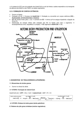  A síntese do ATP vem da oxidação dos Acetil-CoA no cicli de Krebs e cadeia respiratória e do transporte
de elétrons dos NADH e dos FADH2 na cadeia respiratória;

2.2.3. FORMAÇÃO DE CORPOS CETÔNICOS:

•   Ocorre no fígado;
•   Oxidação de AG  Excesso de Acetil-CoA  Oxidação ou convertido em corpos cetônicos (CC) -
    Acetoacetato, β -hidroxibutirato e Acetona;
•   CC são ácidos fortes (pKa ≅ 3,5)  aumento de CC  diminui pH do sangue impedindo a ligação da
    Hb ao O2;
•   Distribuição da energia obtida pela oxidação dos AG no fígado para todo o organismo 
    tecidosperiféricos (mús. esquelético e coração)  CC regeneram Acetil-CoA  CK;




3. BIOSSÍNTESE DE TRIGLICERÍDEOS (LIPOGÊNESE)

1.1. Biossíntese de ácidos graxos

•   Ocorre no citosol da célula

 1 ETAPA: Formação do malonil-CoA:

Acetil-CoA (cit) + ATP + CO2 + H2O  malonil-CoA + ADP + Pi + H+




 2 ETAPA: Síntese do ácido graxo (ácido palmítico):

E: Sistema da çido graxo sintetase (enzima reguladora):
 