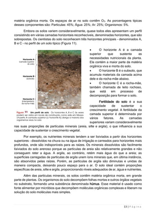 Apostila fisiologia vegetal | PDF