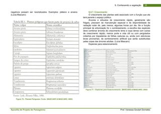 Apostila de Projeto de Paisagismo Prof. Vanessa Goulart Dorneles
356. Conhecendo a vegetação
negativos possam ser neutralizados. Exemplos: plátano e aroeira.
(Lúcia Mascaro)
Figura 70 - Plantas Perigosas. Fonte: (MASCARÓ & MASCARÓ, 2002)
6.4.7. Crescimento
O crescimento das plantas está associado com a função que ela
terá perante o espaço público.
Árvores e arbustos de crescimento rápido, geralmente são
frágeis, precisam de manutenção especial e de disponibilidade de
radiação solar de, pelo menos, algumas horas por dia. Se a função
principal da arborização for o sombreamento, a escolha das espécies
deve combinar árvores de crescimento lento e copa densa com outras
de crescimento rápido, menos porte e vida útil ou com pergolados
cobertos por trepadeiras de folhas caducas ou, ainda com estruturas
leves provisórias, de sombreamento artificial que serão substituídas
pelas copas das árvores adultas. (Lúcia Mascaro)
Espécies para estacionamento
Figura 71 – Espécies para Estacionamento. (MASCARÓ & MASCARÓ, 2002)
 