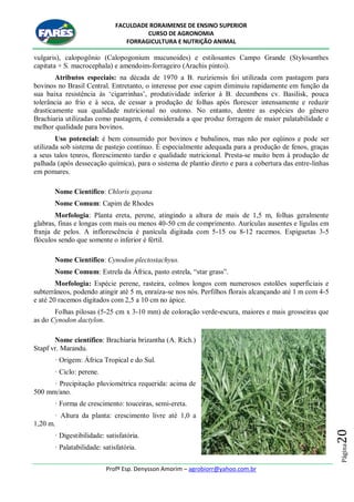 FACULDADE RORAIMENSE DE ENSINO SUPERIOR
CURSO DE AGRONOMIA
FORRAGICULTURA E NUTRIÇÃO ANIMAL
Profº Esp. Denysson Amorim – agrobiorr@yahoo.com.br
Página20
vulgaris), calopogônio (Calopogonium mucunoides) e estilosantes Campo Grande (Stylosanthes
capitata + S. macrocephala) e amendoim-forrageiro (Arachis pintoi).
Atributos especiais: na década de 1970 a B. ruziziensis foi utilizada com pastagem para
bovinos no Brasil Central. Entretanto, o interesse por esse capim diminuiu rapidamente em função da
sua baixa resistência às „cigarrinhas‟, produtividade inferior à B. decumbens cv. Basilisk, pouca
tolerância ao frio e à seca, de cessar a produção de folhas após florescer intensamente e reduzir
drasticamente sua qualidade nutricional no outono. No entanto, dentre as espécies do gênero
Brachiaria utilizadas como pastagem, é considerada a que produz forragem de maior palatabilidade e
melhor qualidade para bovinos.
Uso potencial: é bem consumido por bovinos e bubalinos, mas não por eqüinos e pode ser
utilizada sob sistema de pastejo contínuo. É especialmente adequada para a produção de fenos, graças
a seus talos tenros, florescimento tardio e qualidade nutricional. Presta-se muito bem à produção de
palhada (após dessecação química), para o sistema de plantio direto e para a cobertura das entre-linhas
em pomares.
Nome Científico: Chloris gayana
Nome Comum: Capim de Rhodes
Morfologia: Planta ereta, perene, atingindo a altura de mais de 1,5 m, folhas geralmente
glabras, finas e longas com mais ou menos 40-50 cm de comprimento. Aurículas ausentes e lígulas em
franja de pelos. A inflorescência é panícula digitada com 5-15 ou 8-12 racemos. Espiguetas 3-5
flóculos sendo que somente o inferior é fértil.
Nome Científico: Cynodon plectostachyus.
Nome Comum: Estrela da África, pasto estrela, “star grass”.
Morfologia: Espécie perene, rasteira, colmos longos com numerosos estolões superficiais e
subterrâneos, podendo atingir até 5 m, enraíza-se nos nós. Perfilhos florais alcançando até 1 m com 4-5
e até 20 racemos digitados com 2,5 a 10 cm no ápice.
Folhas pilosas (5-25 cm x 3-10 mm) de coloração verde-escura, maiores e mais grosseiras que
as do Cynodon dactylon.
Nome científico: Brachiaria brizantha (A. Rich.)
Stapf vr. Marandu.
· Origem: África Tropical e do Sul.
· Ciclo: perene.
· Precipitação pluviométrica requerida: acima de
500 mm/ano.
· Forma de crescimento: touceiras, semi-ereta.
· Altura da planta: crescimento livre até 1,0 a
1,20 m.
· Digestibilidade: satisfatória.
· Palatabilidade: satisfatória.
 