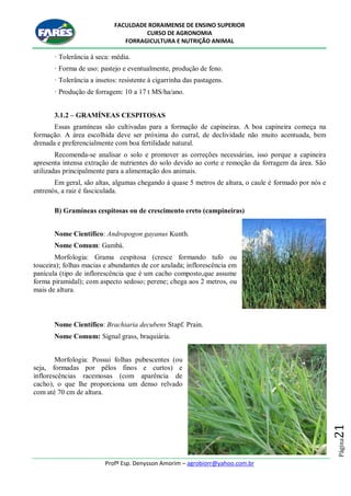 FACULDADE RORAIMENSE DE ENSINO SUPERIOR
CURSO DE AGRONOMIA
FORRAGICULTURA E NUTRIÇÃO ANIMAL
Profº Esp. Denysson Amorim – agrobiorr@yahoo.com.br
Página21
· Tolerância à seca: média.
· Forma de uso: pastejo e eventualmente, produção de feno.
· Tolerância a insetos: resistente à cigarrinha das pastagens.
· Produção de forragem: 10 a 17 t MS/ha/ano.
3.1.2 – GRAMÍNEAS CESPITOSAS
Essas gramíneas são cultivadas para a formação de capineiras. A boa capineira começa na
formação. A área escolhida deve ser próxima do curral, de declividade não muito acentuada, bem
drenada e preferencialmente com boa fertilidade natural.
Recomenda-se analisar o solo e promover as correções necessárias, isso porque a capineira
apresenta intensa extração de nutrientes do solo devido ao corte e remoção da forragem da área. São
utilizadas principalmente para a alimentação dos animais.
Em geral, são altas, algumas chegando à quase 5 metros de altura, o caule é formado por nós e
entrenós, a raiz é fasciculada.
B) Gramíneas cespitosas ou de crescimento ereto (campineiras)
Nome Científico: Andropogon gayanus Kunth.
Nome Comum: Gambá.
Morfologia: Grama cespitosa (cresce formando tufo ou
touceira); folhas macias e abundantes de cor azulada; inflorescência em
panícula (tipo de inflorescência que é um cacho composto,que assume
forma piramidal); com aspecto sedoso; perene; chega aos 2 metros, ou
mais de altura.
Nome Científico: Brachiaria decubens Stapf. Prain.
Nome Comum: Signal grass, braquiária.
Morfologia: Possui folhas pubescentes (ou
seja, formadas por pêlos finos e curtos) e
inflorescências racemosas (com aparência de
cacho), o que lhe proporciona um denso relvado
com até 70 cm de altura.
 