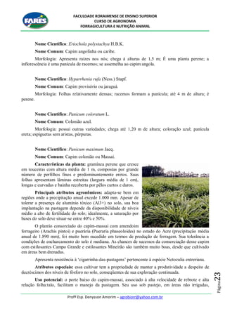 FACULDADE RORAIMENSE DE ENSINO SUPERIOR
CURSO DE AGRONOMIA
FORRAGICULTURA E NUTRIÇÃO ANIMAL
Profº Esp. Denysson Amorim – agrobiorr@yahoo.com.br
Página23
Nome Científico: Eriochola polystachya H.B.K.
Nome Comum: Capim angolinha ou caribe.
Morfologia: Apresenta raízes nos nós; chega à alturas de 1,5 m; É uma planta perene; a
inflorescência é uma panícula de racemos; se assemelha ao capim angola.
Nome Científico: Hyparrhenia rufa (Ness.) Stapf.
Nome Comum: Capim provisório ou jaraguá.
Morfologia: Folhas relativamente densas; racemos formam a panícula; até 4 m de altura; é
perene.
Nome Científico: Panicum coloratum L.
Nome Comum: Colonião azul.
Morfologia: possui outras variedades; chega até 1,20 m de altura; coloração azul; panícula
ereta; espiguetas sem aristas, púrpuras.
Nome Científico: Panicum maximum Jacq.
Nome Comum: Capim colonião ou Massai.
Características da planta: gramínea perene que cresce
em touceiras com altura média de 1 m, compostas por grande
número de perfilhos finos e predominantemente eretos. Suas
folhas apresentam lâminas estreitas (largura média de 1 cm),
longas e curvadas e bainha recoberta por pêlos curtos e duros.
Principais atributos agronômicos: adapta-se bem em
regiões onde a precipitação anual excede 1.000 mm. Apesar de
tolerar a presença de alumínio tóxico (Al3+) no solo, sua boa
implantação na pastagem depende da disponibilidade de níveis
médio a alto de fertilidade do solo; idealmente, a saturação por
bases do solo deve situar-se entre 40% e 50%.
O plantio consorciado do capim-massai com amendoim
forrageiro (Arachis pintoi) e puerária (Pueraria phaseoloides) no estado do Acre (precipitação média
anual de 1.890 mm), foi muito bem sucedido em termos de produção de forragem. Sua tolerância a
condições de encharcamento do solo é mediana. As chances de sucessos da consorciação desse capim
com estilosantes Campo Grande e estilosantes Mineirão são também muito boas, desde que cultivado
em áreas bem drenadas.
Apresenta resistência à „cigarrinha-das-pastagens‟ pertencente à espécie Notozulia entreriana.
Atributos especiais: essa cultivar tem a propriedade de manter a produtividade a despeito de
decréscimos dos níveis de fósforo no solo, conseqüentes de sua exploração continuada.
Uso potencial: o porte baixo do capim-massai, associado à alta velocidade de rebrote e alta
relação folha:talo, facilitam o manejo da pastagem. Seu uso sob pastejo, em áreas não irrigadas,
 