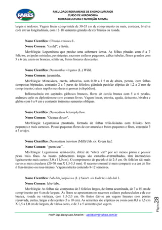 FACULDADE RORAIMENSE DE ENSINO SUPERIOR
CURSO DE AGRONOMIA
FORRAGICULTURA E NUTRIÇÃO ANIMAL
Profº Esp. Denysson Amorim – agrobiorr@yahoo.com.br
Página28
largos e nodosos. Vagem linear comprimida de 30-35 cm de comprimento ou mais, coriácea, bivalva
com estrias longitudinais, com 12-18 sementes grandes de cor branca ou rosada.
Nome Científico: Clitoria ternatea L.
Nome Comum: "cunhã", clitória.
Morfologia: Leguminosa que produz uma cobertura densa. As folhas pinadas com 5 a 7
folíolos, estipulas estriadas, persistentes, racemos axilares pequenos, cálice tubular, flores grandes com
5 a 6 cm, azuis ou brancas, solitárias, frutos lineares deiscentes.
Nome Científico: Desmanthus virgatus (L.) Willd.
Nome Comum: jureminha.
Morfologia: Mimosácea, erecta, arbustiva, com 0,30 a 1,5 m de altura, perene, com folhas
compostas bipinadas, contendo 2 a 7 pares de folíolos; glândula peciolar elíptica de 1,2 a 2 mm de
comprimento; raízes napiformes duras e grossas (xilopódios).
Inflorescência em capítulos globosos brancos, flores de corola branca com 5 a 6 pétalas,
androceu aplo ou diplostémone com estames livres. Vagem linear, estreita, aguda, deiscente, bivalva e
glabra com 6 a 9 cm e contendo inúmeras sementes oblíquas.
Nome Científico: Desmodium heterophyllum.
Nome Comum: "Guinea clover".
Morfologia: Leguminosa prostrada, formada de folhas trifo-lioladas com folíolos bem
pequenos e mais carnosos. Possui pequenas flores de cor amarela e frutos pequenos e finos, contendo 3
a 5 artejos.
Nome Científico: Desmodium intortum (Mill) Urb. cv. Green leaf.
Nome Comum: "green leaf”.
Morfologia: Leguminosa semi-erecta, difere do "silver leaf” por ser menos pilosa e possuir
pêlos mais finos. As hastes pubescentes longas são castanho-avermelhadas, têm intermédios
ligeiramente mais curtos (3,0 a 11,0 cm). O comprimento do pecíolo é de 2-5 cm. Os folíolos são mais
curtos e mais circulares (20-70 mm X 1,5-5,5 mm). O racemo terminal é mais compacto e a cor de flor
é lilás-intenso ou rosa-intenso. Vagem estreita contendo 8-12 sementes.
Nome Científica: Lab-lab purpureus (L.) Sweet. sin.Dolichos lab-lab L.
Nome Comum: labe-labe.
Morfologia: As folhas são compostas de 3 folíolos largos, de forma acuminada, de 7 a 15 cm de
comprimento por 4 cm de largura. As flores se apresentam em racemos axilares pedunculados e de cor
branca, rosada ou violácea, com 1,5-2,0 cm. Os frutos dão-se em vagens lineares com pontas
recurvada, curtas, largas e deiscentes (3 a 10 cm). As sementes são elípticas ou ovais com 0,8 a 1,5 cm
X 0,5 a 1,0 cm de largura, de várias cores, e de 3 a 5 sementes por vagem.
 