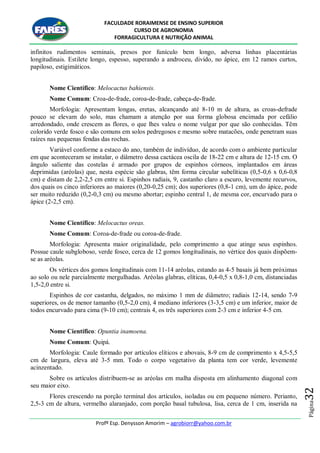 FACULDADE RORAIMENSE DE ENSINO SUPERIOR
CURSO DE AGRONOMIA
FORRAGICULTURA E NUTRIÇÃO ANIMAL
Profº Esp. Denysson Amorim – agrobiorr@yahoo.com.br
Página32
infinitos rudimentos seminais, presos por funículo bem longo, adversa linhas placentárias
longitudinais. Estilete longo, espesso, superando a androceu, divido, no ápice, em 12 ramos curtos,
papiloso, estigimáticos.
Nome Científico: Melocactus bahiensis.
Nome Comum: Croa-de-frade, coroa-de-frade, cabeça-de-frade.
Morfologia: Apresentam longas, eretas, alcançando até 8-10 m de altura, as croas-defrade
pouco se elevam do solo, mas chamam a atenção por sua forma globosa encimada por cefálio
arredondado, onde crescem as flores, o que lhes valeu o nome vulgar por que são conhecidas. Têm
colorido verde fosco e são comuns em solos pedregosos e mesmo sobre matacões, onde penetram suas
raízes nas pequenas fendas das rochas.
Variável conforme a estaco do ano, também de indivíduo, de acordo com o ambiente particular
em que aconteceram se instalar, o diâmetro dessa cactácea oscila de 18-22 cm e altura de 12-15 cm. O
ângulo saliente das costelas é armado por grupos de espinhos córneos, implantados em áreas
deprimidas (aréolas) que, nesta espécie são glabras, têm forma circular subelíticas (0,5-0,6 x 0,6-0,8
cm) e distam de 2,2-2,5 cm entre si. Espinhos radiais, 9, castanho claro a escuro, levemente recurvos,
dos quais os cinco inferiores ao maiores (0,20-0,25 cm); dos superiores (0,8-1 cm), um do ápice, pode
ser muito reduzido (0,2-0,3 cm) ou mesmo abortar; espinho central 1, de mesma cor, encurvado para o
ápice (2-2,5 cm).
Nome Científico: Melocactus oreas.
Nome Comum: Coroa-de-frade ou coroa-de-frade.
Morfologia: Apresenta maior originalidade, pelo comprimento a que atinge seus espinhos.
Possue caule subgloboso, verde fosco, cerca de 12 gomos longitudinais, no vértice dos quais dispõem-
se as aréolas.
Os vértices dos gomos longitudinais com 11-14 aréolas, estando as 4-5 basais já bem próximas
ao solo ou nele parcialmente mergulhadas. Aréolas glabras, elíticas, 0,4-0,5 x 0,8-1,0 cm, distanciadas
1,5-2,0 entre si.
Espinhos de cor castanha, delgados, no máximo 1 mm de diâmetro; radiais 12-14, sendo 7-9
superiores, os de menor tamanho (0,5-2,0 cm), 4 mediano inferiores (3-3,5 cm) e um inferior, maior de
todos encurvado para cima (9-10 cm); centrais 4, os três superiores com 2-3 cm e inferior 4-5 cm.
Nome Científico: Opuntia inamoena.
Nome Comum: Quipá.
Morfologia: Caule formado por artículos elíticos e abovais, 8-9 cm de comprimento x 4,5-5,5
cm de largura, eleva até 3-5 mm. Todo o corpo vegetativo da planta tem cor verde, levemente
acinzentado.
Sobre os artículos distribuem-se as aréolas em malha disposta em alinhamento diagonal com
seu maior eixo.
Flores crescendo na porção terminal dos artículos, isoladas ou em pequeno número. Perianto,
2,5-3 cm de altura, vermelho alaranjado, com porção basal tubulosa, lisa, cerca de 1 cm, inserida na
 