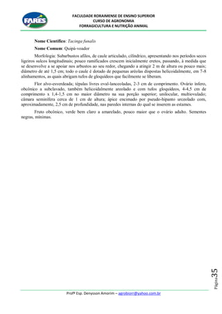 FACULDADE RORAIMENSE DE ENSINO SUPERIOR
CURSO DE AGRONOMIA
FORRAGICULTURA E NUTRIÇÃO ANIMAL
Profº Esp. Denysson Amorim – agrobiorr@yahoo.com.br
Página35
Nome Científico: Tacinga funalis
Nome Comum: Quipá-voador
Morfologia: Subarbustos afilos, de caule articulado, cilíndrico, apresentando nos períodos secos
ligeiros sulcos longitudinais; pouco ramificados crescem inicialmente eretos, passando, à medida que
se desenvolve a se apoiar nos arbustos ao seu redor, chegando a atingir 2 m de altura ou pouco mais;
diâmetro de até 1,5 cm; todo o caule é dotado de pequenas aréolas dispostas helicoidalmente, em 7-8
alinhamentos, as quais abrigam tufos de gloquídeos que facilmente se liberam.
Flor alvo-esverdeada; tépalas livres oval-lanceoladas, 2-3 cm de comprimento. Ovário ínfero,
obcônico a subclavado, também helicoidalmente areolado e com tufos gloquídeos, 4-4,5 cm de
comprimento x 1,4-1,5 cm no maior diâmetro na sua porção superior; unilocular, multiovulado;
câmara seminífera cerca de 1 cm de altura; ápice encimado por pseudo-hipanto urceolado com,
aproximadamente, 2,5 cm de profundidade, nas paredes internas do qual se inserem as estames.
Fruto obcônico, verde bem claro a amarelado, pouco maior que o ovário adulto. Sementes
negras, mínimas.
 