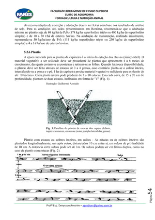 FACULDADE RORAIMENSE DE ENSINO SUPERIOR
CURSO DE AGRONOMIA
FORRAGICULTURA E NUTRIÇÃO ANIMAL
Profº Esp. Denysson Amorim – agrobiorr@yahoo.com.br
Página54
As recomendações de correção e adubação devem ser feitas com base nos resultados de análise
de solo. Para as condições dos solos predominantes em Roraima, recomenda-se que a adubação
mínima no plantio seja de 80 kg/há de P205 (178 kg/ha superfosfato triplo ou 400 kg/ha de superfosfato
simples) e de 10 a 30 t/há de esterco bovino. Na adubação de manutenção, realizada anualmente,
recomenda-se 50 kg/ha/ano de P205 (111 kg/ha superfosfato triplo ou 250 kg/ha de superfosfato
simples) e 4 a 6 t/ha/ano de esterco bovino.
5.2.6 Plantio
A época indicada para o plantio da capineira é o início da estação das chuvas (março/abril). O
material vegetativo a ser utilizado deve ser procedente de plantas que apresentem 4 a 6 meses de
crescimento, das quais cortam-se as ponteiras e retiram-se as folhas. Quando há pouca disponibilidade,
o plantio deve ser feito através de estacas de 3 a 4 gemas, caso contrário planta-se o colmo inteiro,
intercalando-se a ponta e o pé. 1 ha de capineira produz material vegetativo suficiente para o plantio de
até 10 hectares. Cada planta inteira pode produzir de 7 a 10 estacas. Em cada cova, de 15 a 20 cm de
profundidade, plantam-se duas estacas, inclinadas em forma de "V" (Fig. 1).
Ilustração: Guilherme Azevedo
Fig. 1. Detalhes do plantio de estacas dos capins elefante,
napier e cameron, em covas (notar posição lateral das gemas).
Plantio com estacas ou colmos inteiros, em sulcos - As estacas ou os colmos inteiros são
plantados longitudinalmente, um após outro, distanciados 10 cm entre si, em sulcos de profundidade
de 10 cm. A distância entre sulcos pode ser de 1m. Os sulcos podem ser em linhas duplas, como no
caso de plantio com estacas (Fig. 2).
 