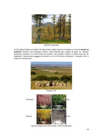 Floresta Temperada 
As formações herbáceas também são típicas dessa região climática e recebem o nome de estepes ou 
pradarias. Constitui uma pastagem natural, muito utilizada para criação de gado. Ex.: pampas 
argentinos, pradarias no centro-oeste do Canadá e dos Estados Unidos, no Brasil esse tipo de 
vegetação é denominado campos encontrado no sul do RS (clima subtropical - transição entre o 
tropical e o temperado). 
Pampas - RS 
Quatro estações bem demarcadas – Clima Temperado 
10 
Primavera Verão 
Outono Inverno 
 