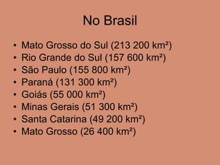 No Brasil Mato Grosso do Sul (213 200 km²)  Rio Grande do Sul (157 600 km²)  São Paulo (155 800 km²)  Paraná (131 300 km²)  Goiás (55 000 km²)  Minas Gerais (51 300 km²)  Santa Catarina (49 200 km²)  Mato Grosso (26 400 km²) 