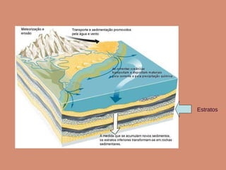 Estratos 