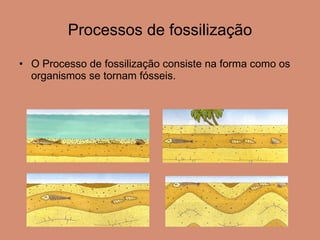 Processos de fossilização O Processo de fossilização consiste na forma como os organismos se tornam fósseis.  