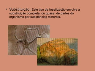 Substituição :   Este tipo de fossilização envolve a substituição completa, ou quase, de partes do organismo por substâncias minerais.  