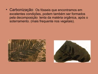 Carbonização :   Os fósseis que encontramos em excelentes condições, podem também ser formados pela decomposição  lenta da matéria orgânica, após o soterramento. (mais frequente nos vegetais).  