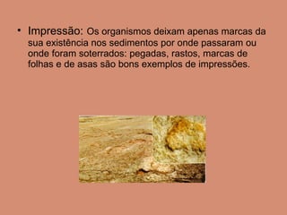Impressão:   Os organismos deixam apenas marcas da sua existência nos sedimentos por onde passaram ou onde foram soterrados: pegadas, rastos, marcas de folhas e de asas são bons exemplos de impressões.  