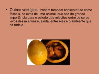 Outros vestígios:   Podem também conservar-se como fósseis, os ovos de uma animal, que são de grande importância para o estudo das relações entre os seres vivos dessa altura e, ainda, entre eles e o ambiente que os rodeia.  