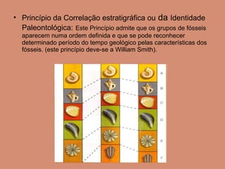 Princípio da Correlação estratigráfica ou  da  Identidade Paleontológica:   Este Princípio admite que os grupos de fósseis aparecem numa ordem definida e que se pode reconhecer determinado período do tempo geológico pelas características dos fósseis. (este princípio deve-se a William Smith).  