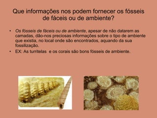 Que informações nos podem fornecer os fósseis de fáceis ou de ambiente? Os fósseis de fáceis ou de ambiente , apesar de não datarem as camadas, dão-nos preciosas informações sobre o tipo de ambiente que existia, no local onde são encontrados, aquando da sua fossilização.  EX: As turritelas  e os corais são bons fósseis de ambiente.  