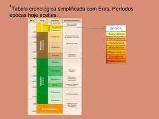 * Tabela cronológica simplificada com Eras, Períodos épocas hoje aceites. 