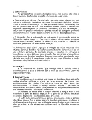 31
O ciclo ovariano:
As gonadotrofinas provocam alterações cíclicas nos ovários, são estas: o
desenvolvimento dos folículos, ovulação e formação do corpo Lúteo.
 Desenvolvimento folicular: Caracterizado pelo crescimento diferenciado dos
ovócitos e proliferação das células foliculares. O crescimento do folículo primário
faz-se às custas da estimulação do FSH (Hormônio Folículo Estimulante), que
atua na primeira fase do ciclo. Este hormônio também prepara o folículo para
responder a estimulação do LH (hormônio Luteinizante), que atua na ovulação. O
folículo em seu processo maturativo é grande produtor de estrogênio (hormônio
sexual feminino) que regula o desenvolvimento e a função dos órgãos genitais.
 A Ovulação: Sob a estimulação do estrogênio ( concentração acima de
200pg/ml) a hipófise produz LH . Este quando atinge o folículo maduro, provoca a
postura ovular (ovulação). Apesar de vários folículos entrarem no processo de
maturação, geralmente um avança até a ovulação.
 A formação do corpo Lúteo: Logo após a ovulação, as células foliculares sob a
influência contínua do LH se hipertrofiam acentuadamente, transformando-se em
uma estrutura glandular, de coloração amarela e produtora de estrogênio e
progesterona - o corpo Lúteo ou corpo amarelo. Este permanece funcionante por
aproximadamente dez dias, quando se degenera, ocorrendo a menstruação (caso
não haja fecundação). A progesterona produzida pelo corpo Lúteo tem a função
de manter a integridade do endométrio uterino.
FECUNDAÇÃO:
É a seqüência de eventos que começa com o contato entre o
espermatozóide e o óvulo e terminam com a fusão de seus núcleos. Ocorre no
terço distal da trompa.
O desenvolvimento
A medida em que o ovo segue pela trompa em direção ao útero, este sofre
rápidas divisões mitóticas e chega ao terço proximal da trompa com
aproximadamente dez células. Esta estrutura chega ao útero, agora com
aproximadamente 16 células no estágio chamado mórula. O processo de
implantação no endométrio uterino (nidação)ocorre no estágio chamado blástula.
este processo ocorre no 7o dia após a fecundação.
O processo de trocas entre o sangue materno e sangue fetal é feito
inicialmente a partir da decídua capsular. Só a partir da 3a semana estruturas
precursoras da placenta - as vilosidades, estão presentes.
A partir da 8a semana termina o período embrionário e inicia o período
fetal. Nesta etapa o feto já possui aparelho digestivo, respiratório, circulatório e
urinários praticamente prontos para a vida extra-uterina. Iniciam-se os movimentos
fetais, no entanto a mãe só pode percebê-los a partir da 16a a 20a semana de
gestação.
 