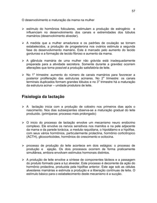 57
O desenvolvimento e maturação da mama na mulher
 estímulo do hormônios foliculares, estimulam a produção de estrogênio e
influenciam no desenvolvimento dos canais e extremidades dos túbulos
mamários (desenvolvimento alveolar).
 A medida que a mulher amadurece e os padrões de ovulação se tornam
estabelecidos, a produção de progesterona nos ovários estimula a segunda
fase do desenvolvimento mamário. Este é marcado pelo aumento do tecido
gorduroso e a formação de tecido fibroso e aumento da mama.
 A glândula mamária de uma mulher não grávida está inadequadamente
preparada para a atividade secretora. Somente durante a gravidez ocorrem
alterações que torna possível a produção satisfatória de leite.
 No 1o
trimestre: aumento do número de canais mamários para favorecer a
posterior proliferação das estruturas acinares. No 2o
trimestre: os canais
terminais duplicados formam grandes lóbulos e no 3o
trimestre há a maturação
da estrutura acinar – unidade produtora de leite.
Fisiologia da lactação
 A lactação inicia com a produção de colostro nos primeiros dias após o
nascimento. Nos dias subseqüentes observa-se a maturação gradual do leite
produzido. (primíparas: processo mais prolongado)
 O inicio do processo de lactação envolve um mecanismo neuro endócrino
complexo. Ele envolve os nervos sensitivos nos mamilos e na pele adjacente
da mama e da parede torácica, a medula raquidiana, o hipotálamo e a hipófise,
com seus vários hormônios, particularmente prolactina, hormônio corticitropico
(ACTH), glicocorticóides, hormônios do crescimento e ocitocina.
 processo de produção do leite acontece em dois estágios: o processo de
produção e ejeção. Os dois processos ocorrem de forma praticamente
simultânea, embora envolvam estímulos hormonais distintos.
 A produção de leite envolve a síntese de componentes lácteos e a passagem
do produto formado para a luz alveolar. Este processo é decorrente da ação do
hormônio prolactina, produzida pela hipófise anterior. Este age sob as células
alveolares mamárias e estimula a produção e a liberação contínuas de leite. O
estímulo básico para o estabelecimento deste mecanismo é a sucção.
 