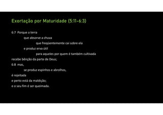 Exortação por Maturidade (5:11-6:3)
6:7 Porque a terra
que absorve a chuva
que freqüentemente cai sobre ela
e produz erva útil
para aqueles por quem é também cultivada
recebe bênção da parte de Deus;
6:8 mas,
se produz espinhos e abrolhos,
é rejeitada
e perto está da maldição;
e o seu fim é ser queimada.
 