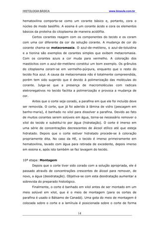 HISTOLOGIA BÁSICA www.bioaula.com.br
hematoxilina comporta-se como um corante básico e, portanto, cora o
núcleo de modo basófilo. A eosina é um corante ácido e cora os elementos
básicos da proteína do citoplasma de maneira acidófila.
Certos corantes reagem com os componentes do tecido e os coram
com uma cor diferente da cor da solução corante. A mudança de cor do
corante chama-se metacromasia. O azul-de-metileno, o azul-de-toluidina
e a tionina são exemplos de corantes simples que exibem metacromasia.
Com os corantes azuis a cor muda para vermelho. A coloração dos
mastócitos com o azul-de-metileno constitui um bom exemplo. Os grânulos
do citoplasma coram-se em vermelho-púrpura, enquanto que o resto do
tecido fica azul. A causa da metacromasia não é totalmente compreendida,
porém tem sido sugerido que é devido à polimerização das moléculas do
corante. Julga-se que a presença de macromoléculas com radicais
eletronegativos no tecido facilita a polimerização e provoca a mudança de
cor.
Antes que o corte seja corado, a parafina em que ele foi incluído deve
ser removida. O corte, que já foi aderido à lâmina de vidro (pescagem em
banho-maria), é banhado no xilol para dissolver a parafina. Devido ao fato
de muitos corantes serem solúveis em água, torna-se necessário remover o
xilol do tecido e substituí-lo por água (hidratação). O corte é imerso em
uma série de concentrações decrescentes de álcool etílico até que esteja
hidratado. Depois que o corte estiver hidratado procede-se à coloração
propriamente dita. No caso da HE, o tecido é imerso primeiramente em
hematoxilina, lavado com água para retirada de excedente, depois imerso
em eosina e, após isto também se faz lavagem do tecido.
10ª etapa: Montagem
Depois que o corte tiver sido corado com a solução apropriada, ele é
passado através de concentrações crescentes de álcool para remover, de
novo, a água (desidratação). Objetiva-se com esta desidratação aumentar a
sobrevida do preparado histológico.
Finalmente, o corte é banhado em xilol antes de ser montado em um
meio solúvel em xilol, que é o meio de montagem (para os cortes de
parafina é usado o Bálsamo de Canadá). Uma gota do meio de montagem é
colocada sobre o corte e a lamínula é posicionada sobre o corte de forma
14
 