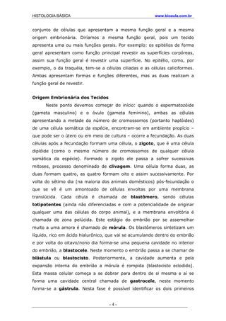 HISTOLOGIA BÁSICA www.bioaula.com.br
conjunto de células que apresentam a mesma função geral e a mesma
origem embrionária. Diríamos a mesma função geral, pois um tecido
apresenta uma ou mais funções gerais. Por exemplo: os epitélios de forma
geral apresentam como função principal revestir as superfícies corpóreas,
assim sua função geral é revestir uma superfície. No epitélio, como, por
exemplo, o da traquéia, tem-se a células ciliadas e as células caliciformes.
Ambas apresentam formas e funções diferentes, mas as duas realizam a
função geral de revestir.
Origem Embrionária dos Tecidos
Neste ponto devemos começar do início: quando o espermatozóide
(gameta masculino) e o óvulo (gameta feminino), ambas as células
apresentando a metade do número de cromossomos (portanto haplóides)
de uma célula somática da espécie, encontram-se em ambiente propício –
que pode ser o útero ou em meio de cultura – ocorre a fecundação. As duas
células após a fecundação formam uma célula, o zigoto, que é uma célula
diplóide (como o mesmo número de cromossomos de qualquer célula
somática da espécie). Formado o zigoto ele passa a sofrer sucessivas
mitoses, processo denominado de clivagem. Uma célula forma duas, as
duas formam quatro, as quatro formam oito e assim sucessivamente. Por
volta do sétimo dia (na maioria dos animais domésticos) pós-fecundação o
que se vê é um amontoado de células envoltas por uma membrana
translúcida. Cada célula é chamada de blastômero, sendo células
totipotentes (ainda não diferenciadas e com a potencialidade de originar
qualquer uma das células do corpo animal), e a membrana envoltória é
chamada de zona pelúcida. Este estágio do embrião por se assemelhar
muito a uma amora é chamado de mórula. Os blastômeros sintetizam um
líquido, rico em ácido hialurônico, que vai se acumulando dentro do embrião
e por volta do oitavo/nono dia forma-se uma pequena cavidade no interior
do embrião, a blastocele. Neste momento o embrião passa a se chamar de
blástula ou blastocisto. Posteriormente, a cavidade aumenta e pela
expansão interna do embrião a mórula é rompida (blastocisto eclodido).
Esta massa celular começa a se dobrar para dentro de si mesma e aí se
forma uma cavidade central chamada de gastrocele, neste momento
forma-se a gástrula. Nesta fase é possível identificar os dois primeiros
- 4 -
 